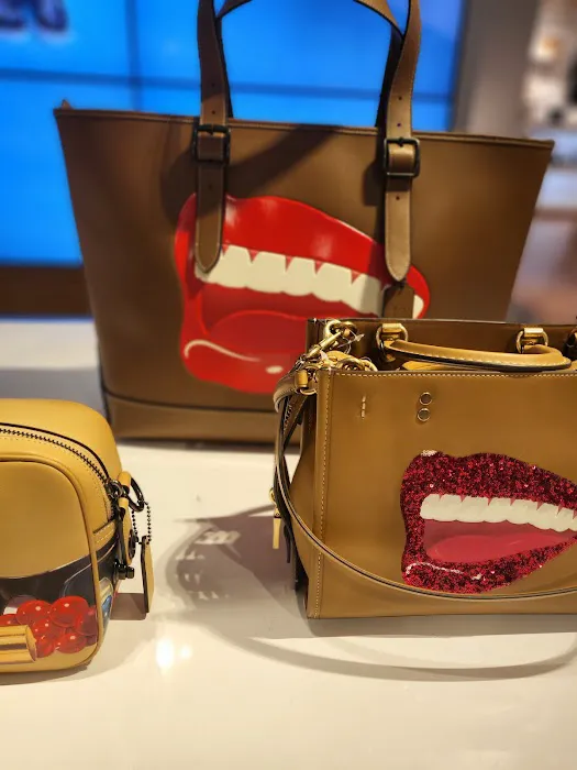 COACH Outlet 3
