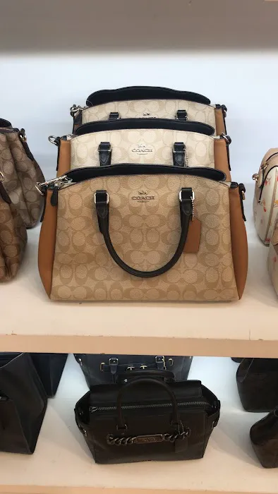 COACH Outlet 8