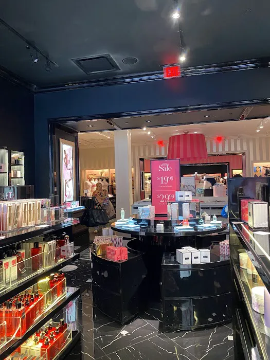 Victoria's Secret & PINK by Victoria's Secret 2