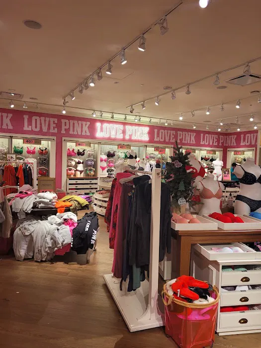 Victoria's Secret & PINK by Victoria's Secret 9