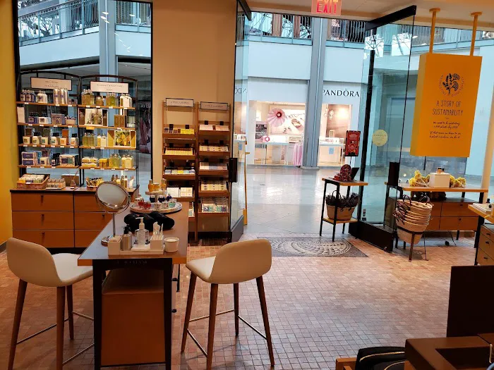 L'OCCITANE EN PROVENCE 10