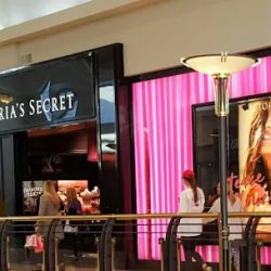 Victoria's Secret & PINK by Victoria's Secret ico