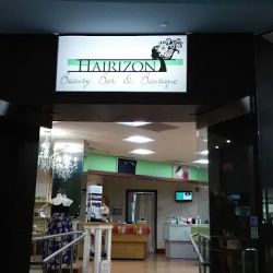 Hairizon ico