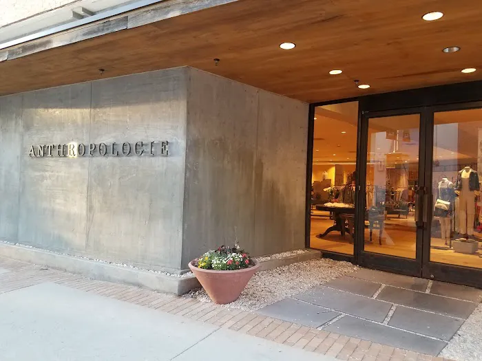 Anthropologie 9