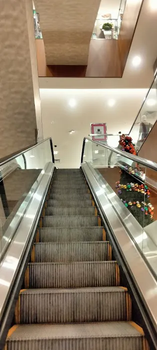 Dillard's 9