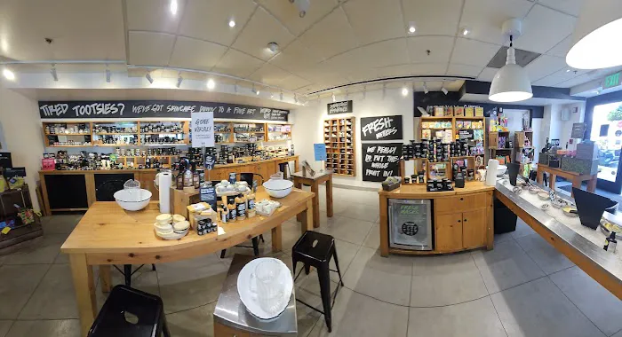 Lush Cosmetics Harbor East 1