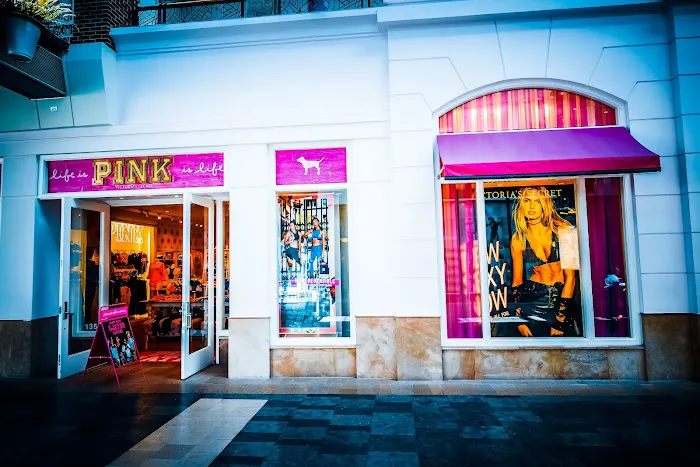 Victoria's Secret & PINK by Victoria's Secret 2