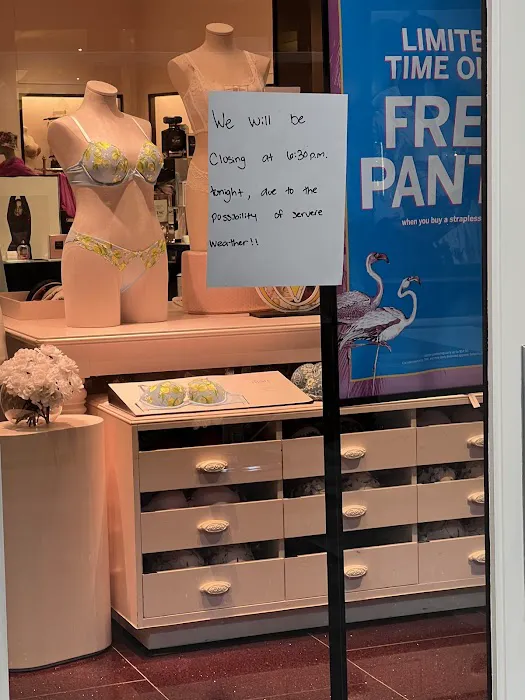 Victoria's Secret & PINK by Victoria's Secret 9