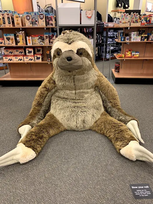 Kohl's 5
