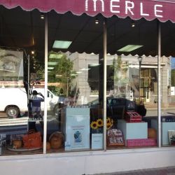 Merle Norman Cosmetics Studio ico