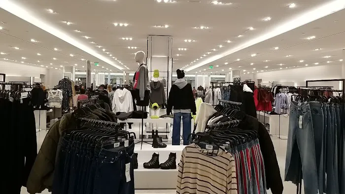 ZARA 8