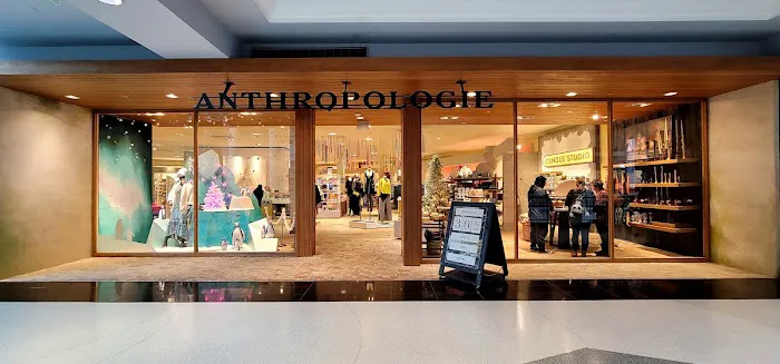 Anthropologie 2