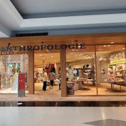Anthropologie ico
