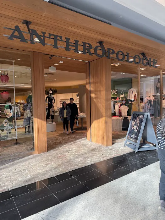 Anthropologie 4