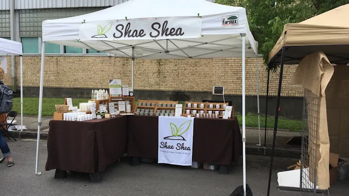 Shae Shea LLC 0