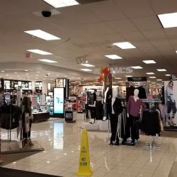 Kohl's ico