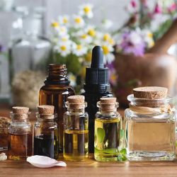 Top Of The Line Fragrances ico