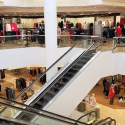 Dillard's ico