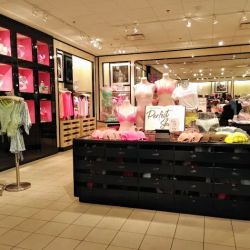 Victoria's Secret & PINK by Victoria's Secret ico