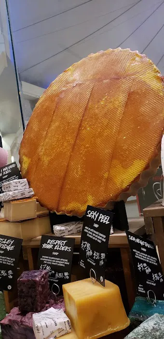 Lush Cosmetics Park City Center 7