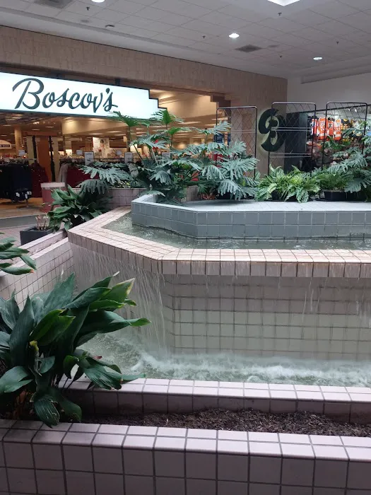 Boscov's 0