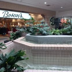 Boscov's ico