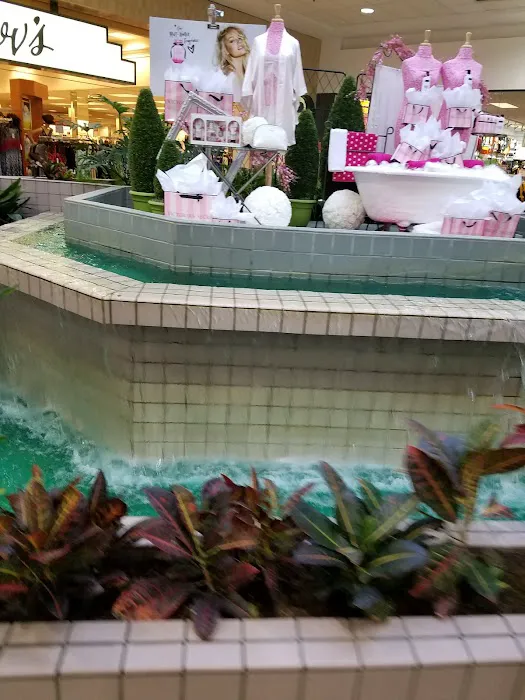 Boscov's 5