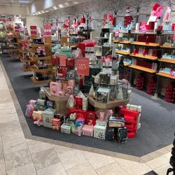 The Cosmetics Company Store ico