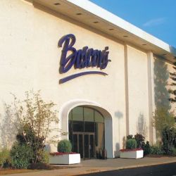 Boscov's ico