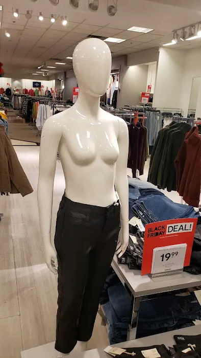 Boscov's 1