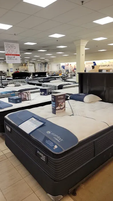 Boscov's 11