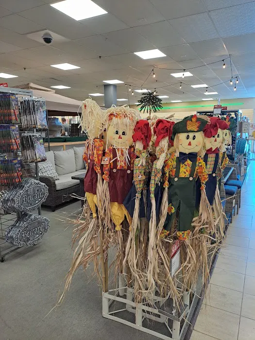 Boscov's 13
