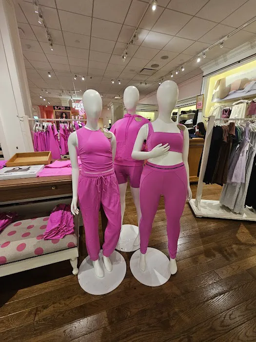 PINK by Victoria's Secret 1