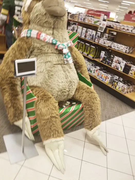 Kohl's 8