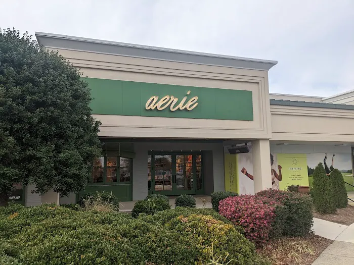 Aerie & OFFLINE 1