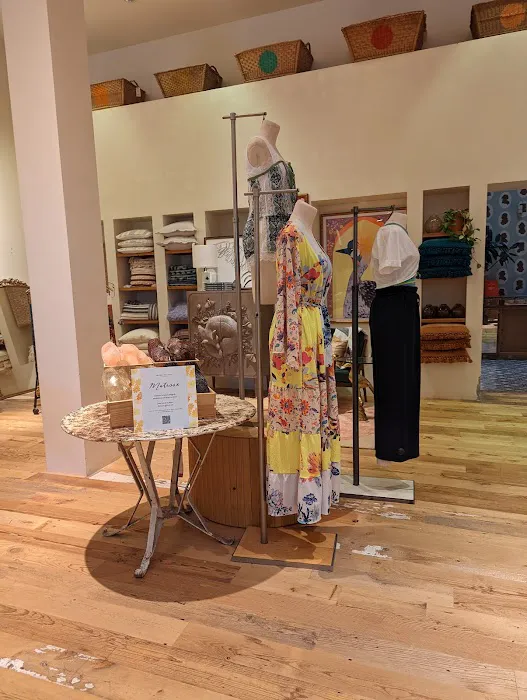 Anthropologie 2