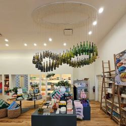Anthropologie ico
