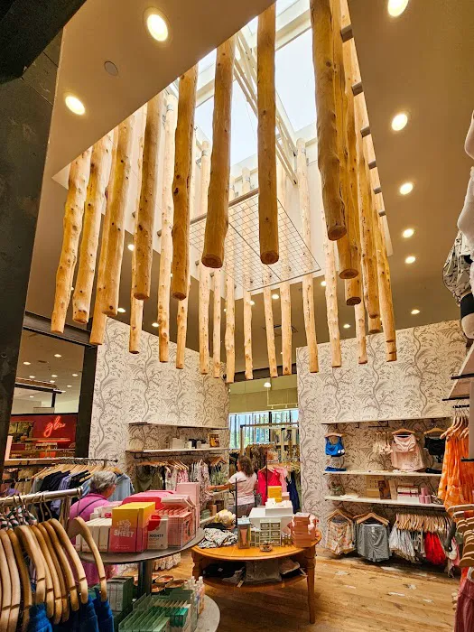 Anthropologie 5