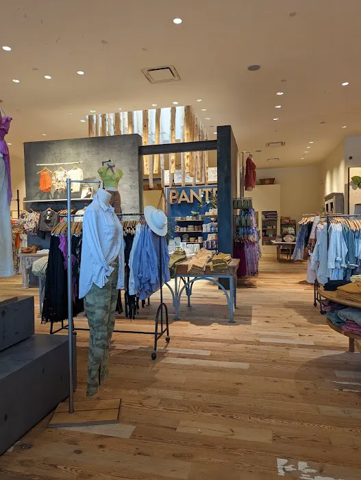 Anthropologie 8