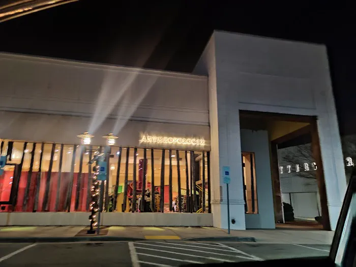 Anthropologie 9