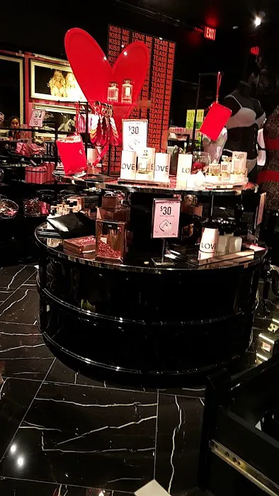 Victoria's Secret & PINK by Victoria's Secret 4