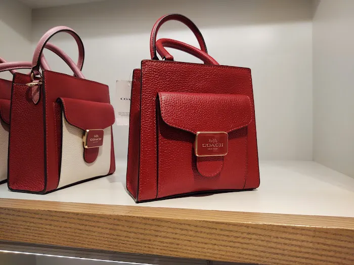COACH Outlet 6
