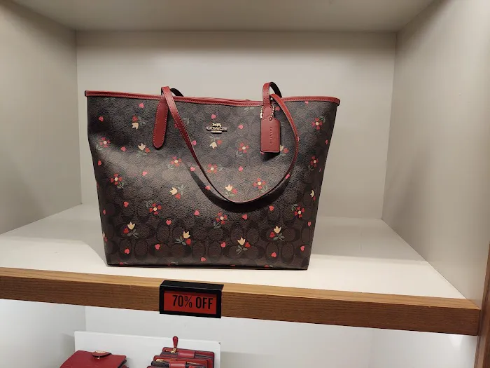COACH Outlet 5