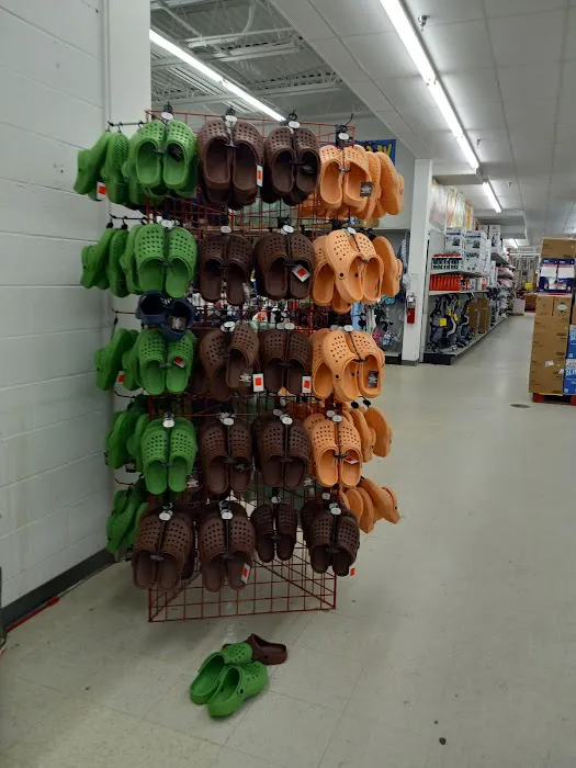 Ollie's Bargain Outlet 3