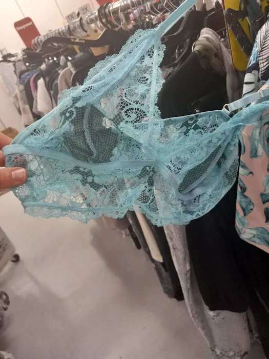 bealls 4