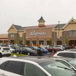 Wegmans ico