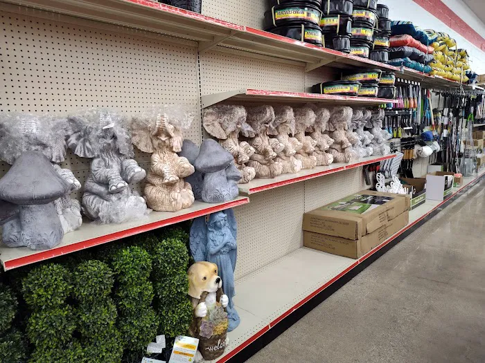 Roses Discount Store 1