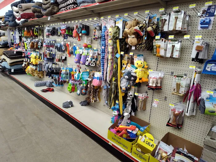 Roses Discount Store 7