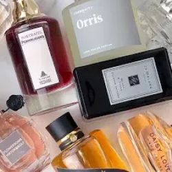 Para Fragrance LLC ico