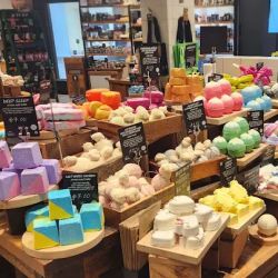 Lush Cosmetics Lehigh Valley ico